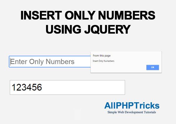 Insert Only Numbers Using jQuery